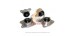 HASPORT DIFF MOUNTS KIT HONDA S2000