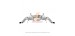 IPE AUDI R8 V8 EXHAUST