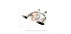 IPE MCLAREN MP4-12C EXHAUST