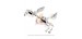 IPE LAMBORGHINI LP550 560 570 EXHAUST