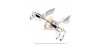 IPE LAMBORGHINI LP550 560 570 EXHAUST