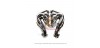 F430 HEADERS