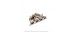 TOMEI EXHAUST MANIFOLD MITSUBISHI EVO 8/9 2003-2006